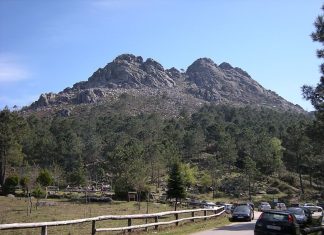 El gobierno de Gondomar rechaza la propuesta de un plan municipal para apoyar la reforestación de las franjas de seguridad