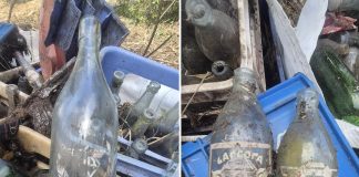 Botellas con décadas de historia aparecen durante la limpieza de un antiguo vertedero en Cíes