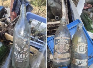 Botellas con décadas de historia aparecen durante la limpieza de un antiguo vertedero en Cíes