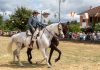 Tui, capital ecuestre de Galicia con la Concentración Cabalar de San Bartolomeu
