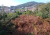 La Comunidade de Montes da Guarda reclama por tercera vez la limpieza del Castro da Forca