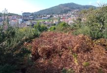 La Comunidade de Montes da Guarda reclama por tercera vez la limpieza del Castro da Forca