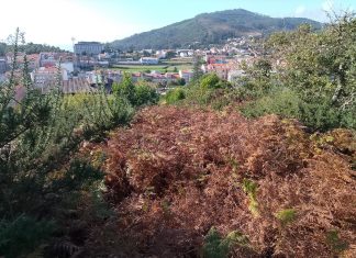 La Comunidade de Montes da Guarda reclama por tercera vez la limpieza del Castro da Forca
