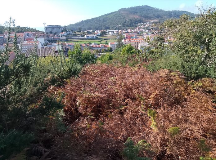 Castro da Forca limpeza