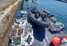 Gardacostas decomisa en una semana más de 260 kilos de marisco y pescado y 656 artes ilegales