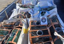 Gardacostas decomisa 372 kilos de pescado y marisco y casi 1.300 artes ilegales contra el furtivismo
