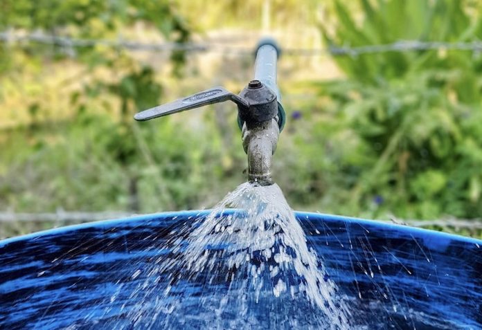 grifo agua