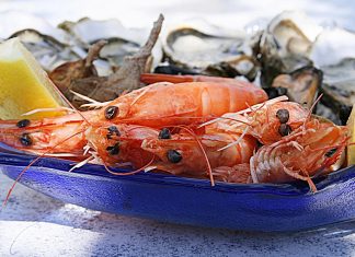 La XIX Festa do Marisco de Vigo abre sus puertas en O Berbés