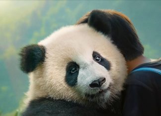 Tui invita a disfrutar del cine al aire libre con “Moon, mi amigo Panda”