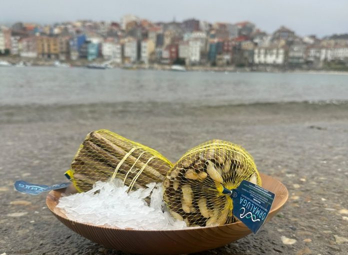 navaja guarda
