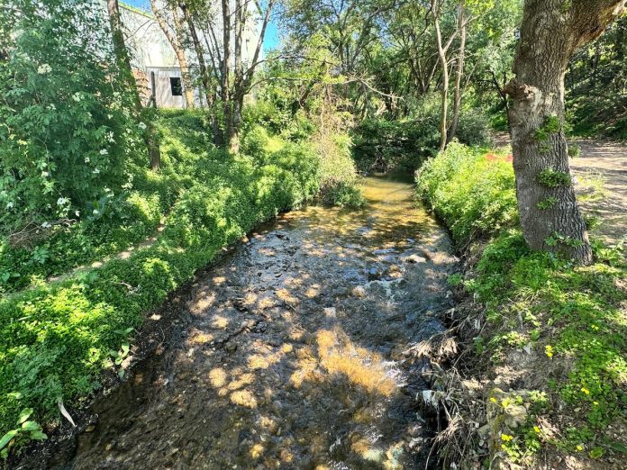 paseo do Lagares
