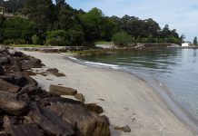 Vigo desaconseja el baño en la Praia da Punta tras detectar E. coli en el agua