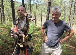 Los bomberos rescatan a Miki, un perro que se cayó a una zanja de cuatro metros en Tomiño
