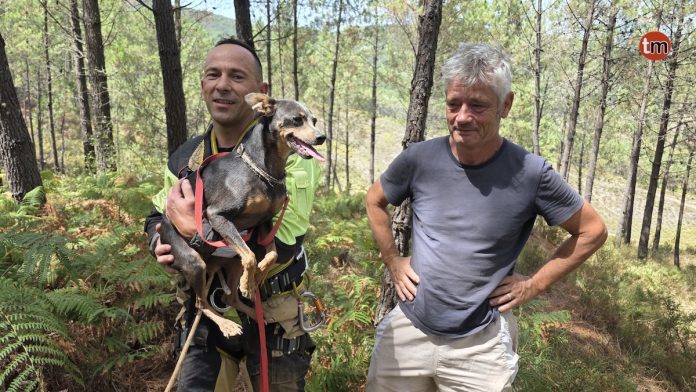 rescate perro miki figueiro