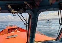 Segundo incidente con orcas en un velero en apenas 24 horas