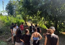 Voluntarios de toda España trabajan en la regeneración ambiental del río Louro