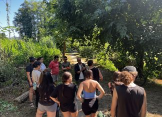 Voluntarios de toda España trabajan en la regeneración ambiental del río Louro