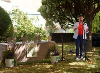 ‘Cara de cona’ triunfa en la VI Mostra de Cinema do Rosal
