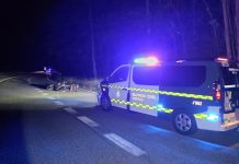 Herido un motorista tras colisionar con un potro en Tebra