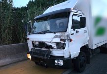 Un caballo provoca un accidente con una furgoneta y un camión implicados en Oia