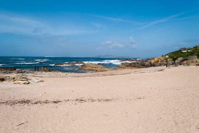 cuncheira
