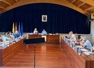 Mos aprueba la renovación integral del alumbrado público