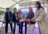 O Porriño celebra la XXXIII Festa dos Callos con la participación de 33 establecimientos
