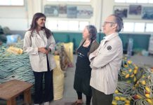 Portos de Galicia renovará el acceso a la zona de varada del puerto de A Guarda