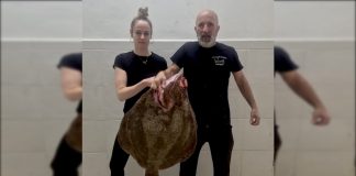 Una pescadería de A Guarda pone a la venta un rodaballo de 10,5 kilos