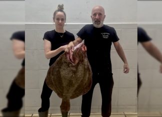Una pescadería de A Guarda pone a la venta un rodaballo de 10,5 kilos