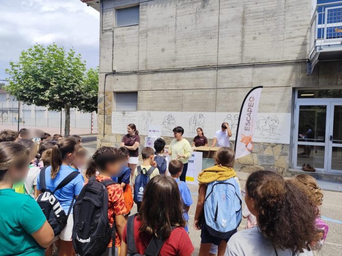 actividades dos campamentos municipais-O Rosal