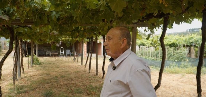 DON ANTONIO DOCUMENTAL