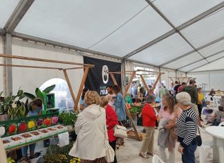 Las Festas do Outono do Pilar reúnen a cientos de personas en O Rosal
