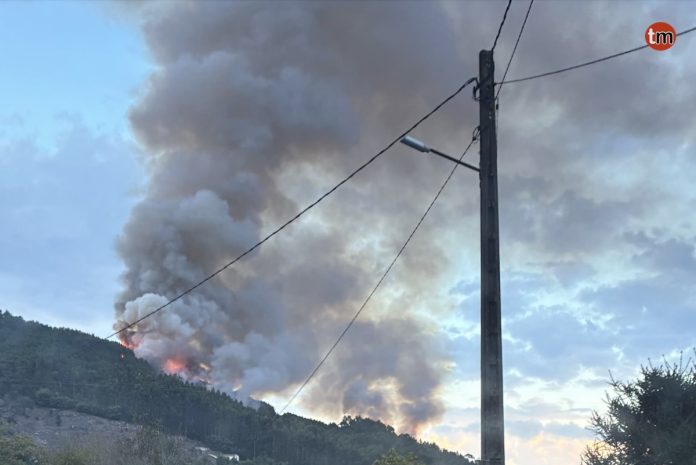 incendio forestal acevedo