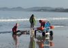 Patos reúne a la élite del surf adaptado con la Copa Nigrán y el Campeonato de España