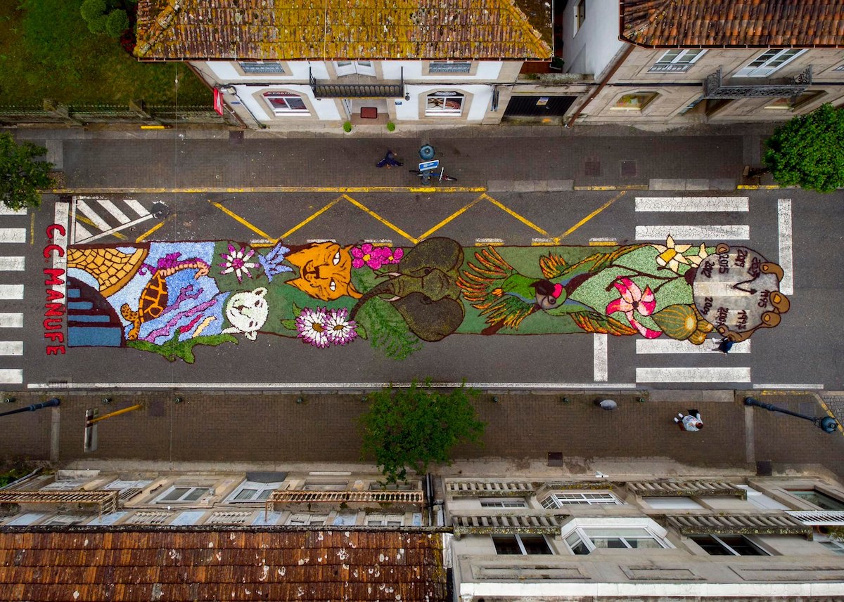 8-alfombra-floral-gondomar-22