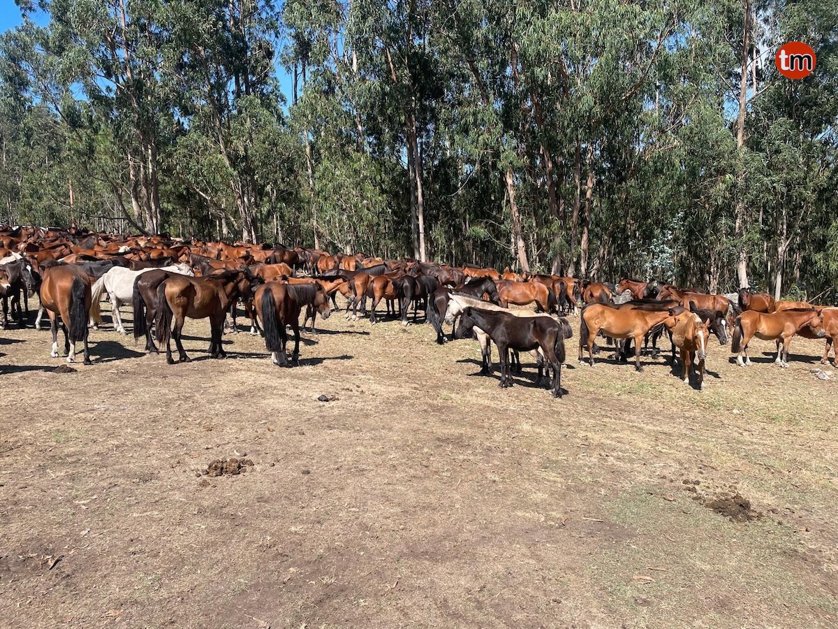 IMG-20260809-WA0047
