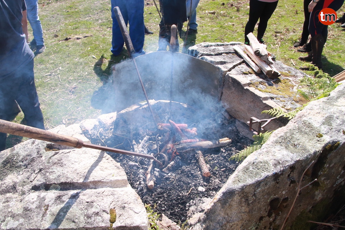 IMG 0177 (1)