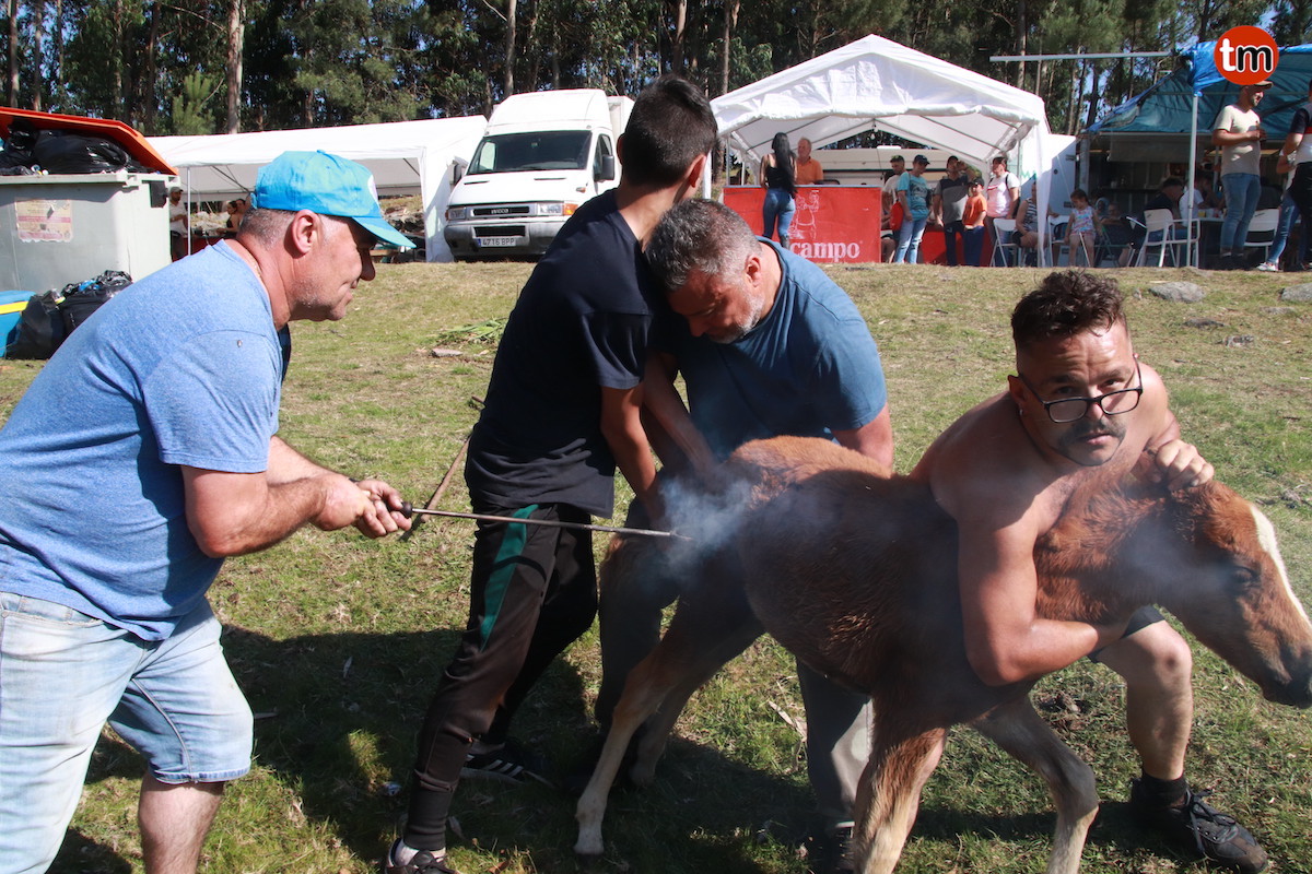 IMG 2082 (1) (1)