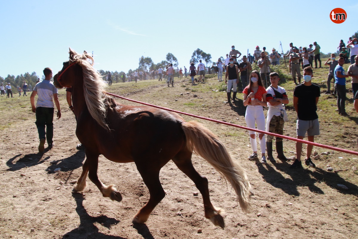 IMG 3256 (1)