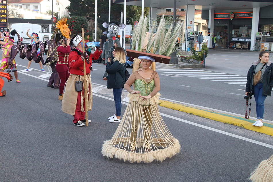 IMG 3520