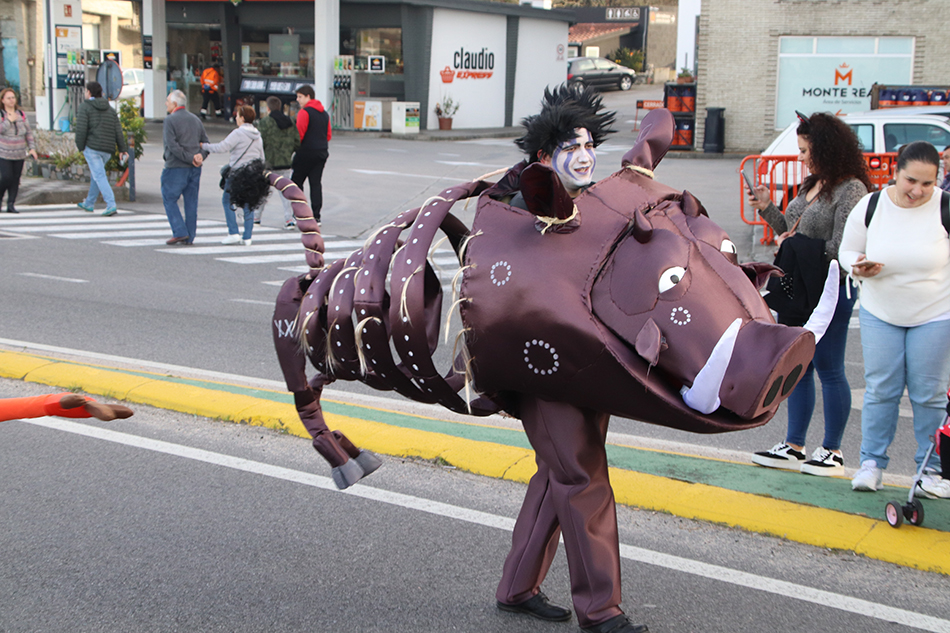 IMG 3528