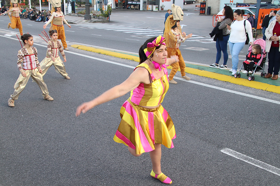 IMG 3550