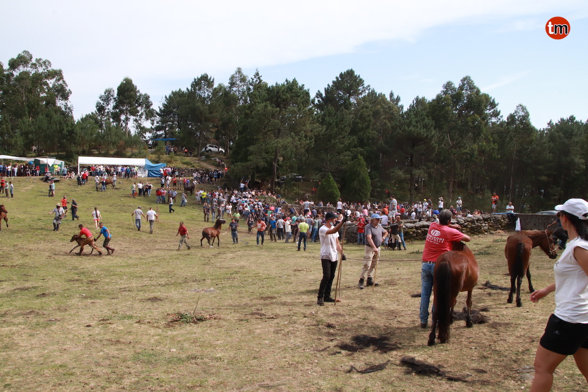 IMG 3739 (1)