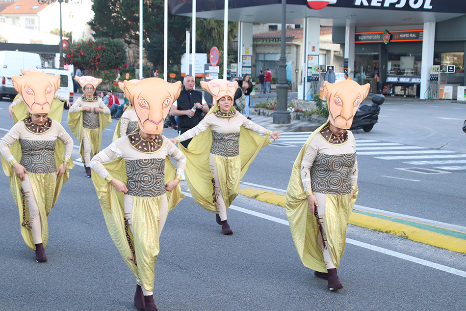IMG 3756