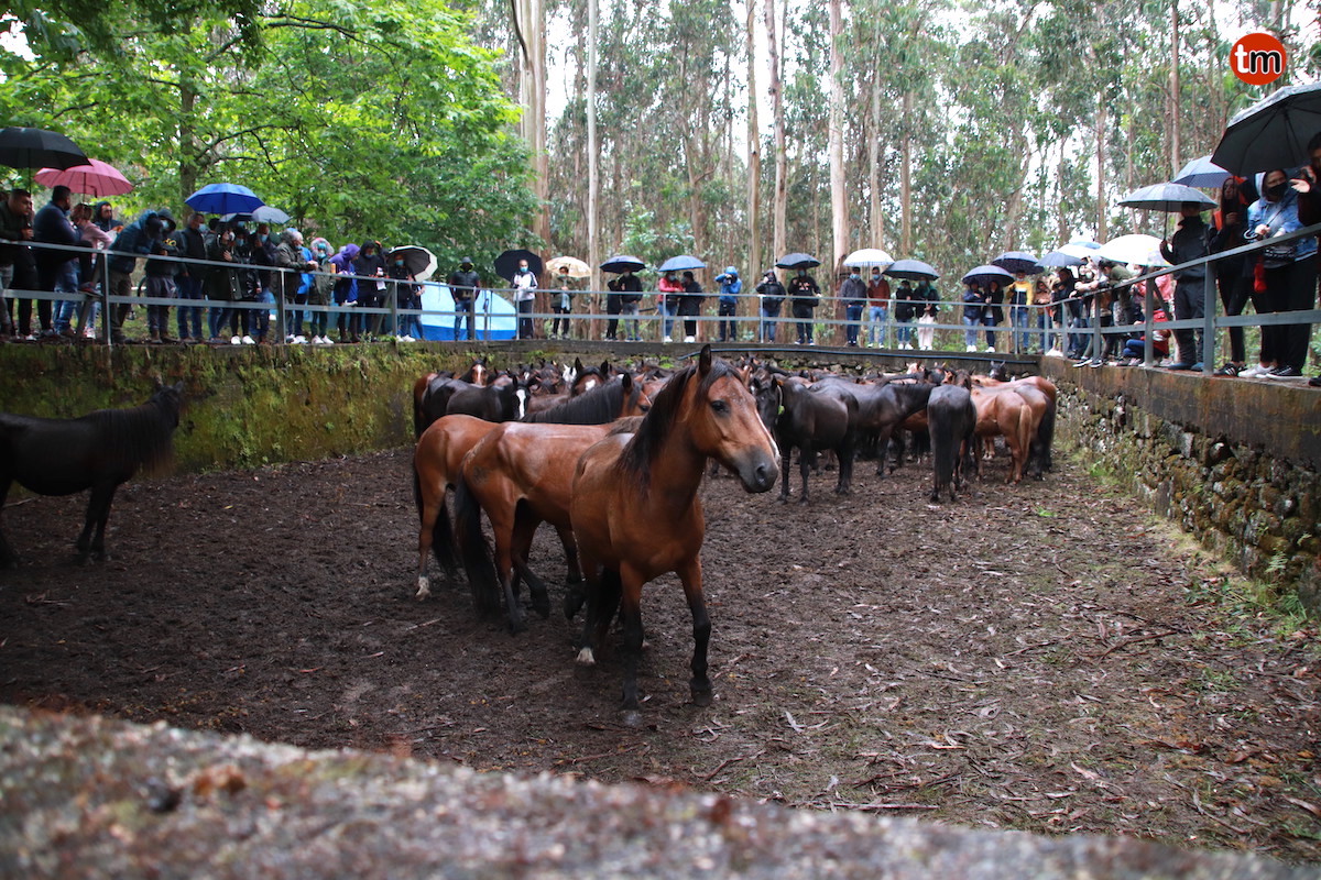 IMG 3970 (1)