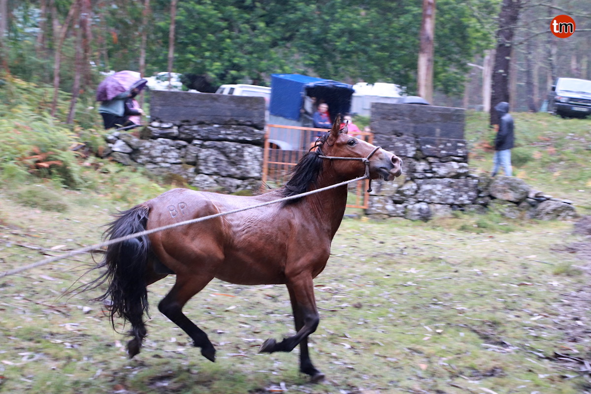 IMG 4035 (1)