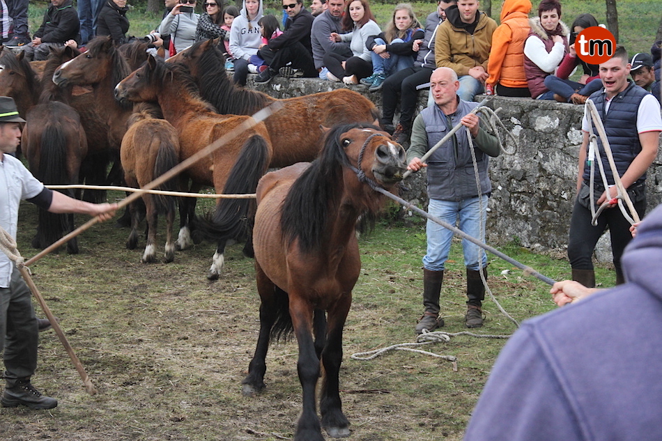 IMG 4254