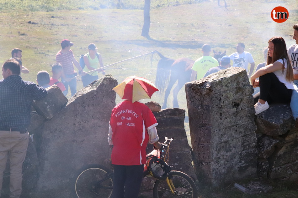 IMG 4292 (1)