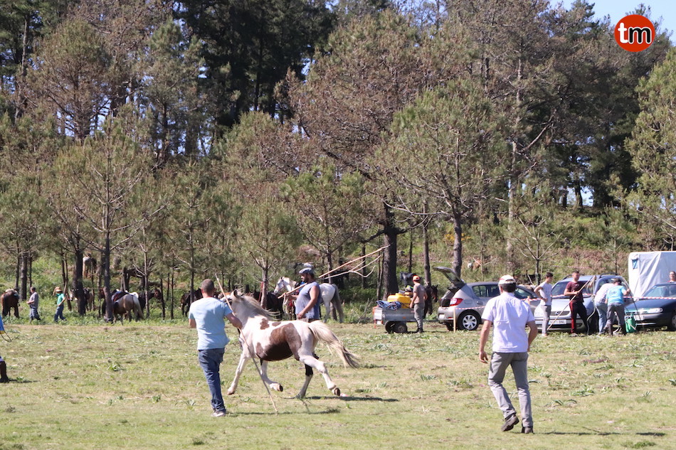 IMG 4300